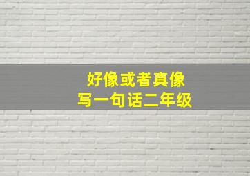 好像或者真像写一句话二年级