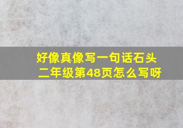 好像真像写一句话石头二年级第48页怎么写呀