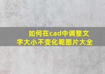 如何在cad中调整文字大小不变化呢图片大全