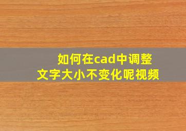 如何在cad中调整文字大小不变化呢视频