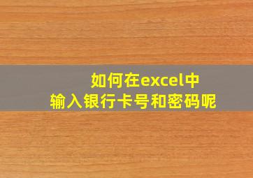 如何在excel中输入银行卡号和密码呢