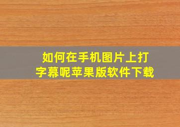 如何在手机图片上打字幕呢苹果版软件下载