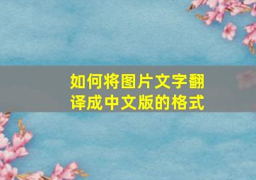 如何将图片文字翻译成中文版的格式