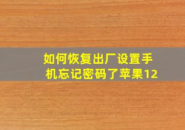 如何恢复出厂设置手机忘记密码了苹果12