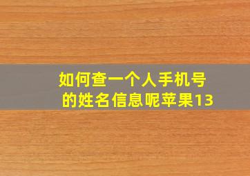 如何查一个人手机号的姓名信息呢苹果13