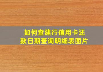 如何查建行信用卡还款日期查询明细表图片