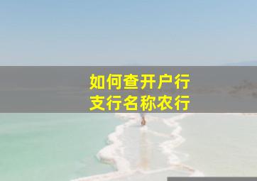 如何查开户行支行名称农行