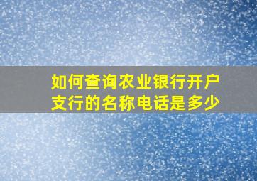 如何查询农业银行开户支行的名称电话是多少