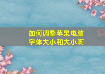 如何调整苹果电脑字体大小和大小啊