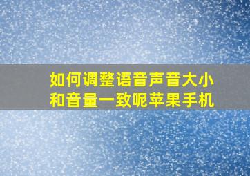 如何调整语音声音大小和音量一致呢苹果手机