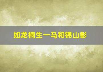 如龙桐生一马和锦山彰