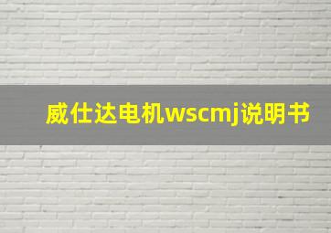 威仕达电机wscmj说明书