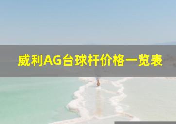 威利AG台球杆价格一览表