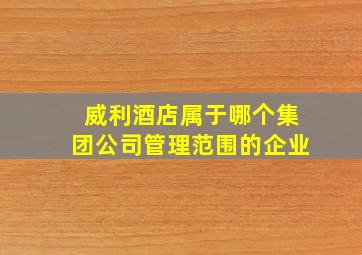 威利酒店属于哪个集团公司管理范围的企业