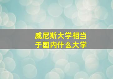 威尼斯大学相当于国内什么大学