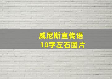 威尼斯宣传语10字左右图片