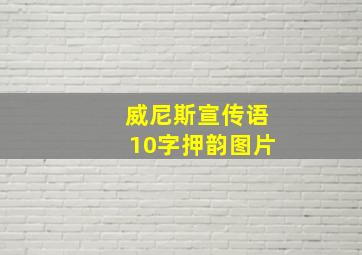 威尼斯宣传语10字押韵图片