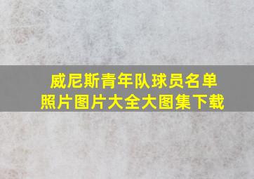 威尼斯青年队球员名单照片图片大全大图集下载