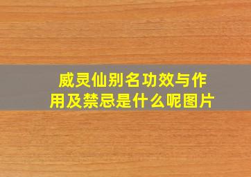 威灵仙别名功效与作用及禁忌是什么呢图片