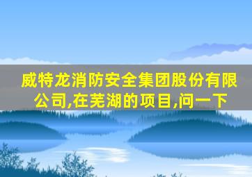 威特龙消防安全集团股份有限公司,在芜湖的项目,问一下