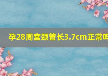 孕28周宫颈管长3.7cm正常吗