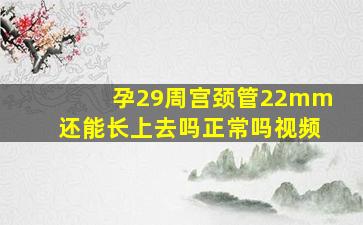 孕29周宫颈管22mm还能长上去吗正常吗视频