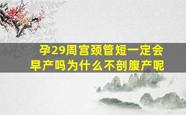 孕29周宫颈管短一定会早产吗为什么不剖腹产呢