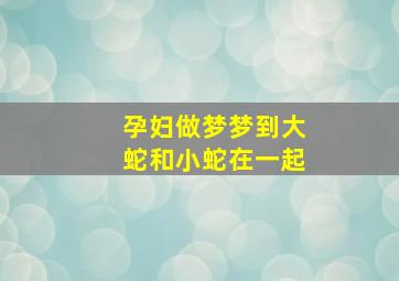 孕妇做梦梦到大蛇和小蛇在一起