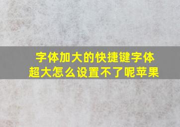 字体加大的快捷键字体超大怎么设置不了呢苹果