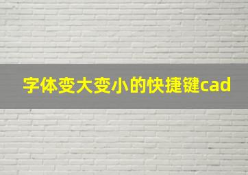 字体变大变小的快捷键cad