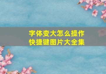 字体变大怎么操作快捷键图片大全集