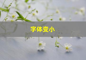 字体变小