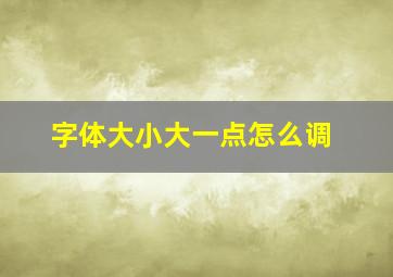 字体大小大一点怎么调