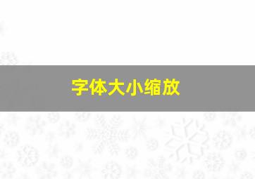 字体大小缩放