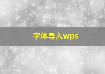 字体导入wps