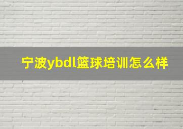 宁波ybdl篮球培训怎么样