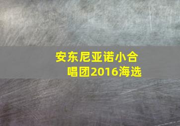 安东尼亚诺小合唱团2016海选