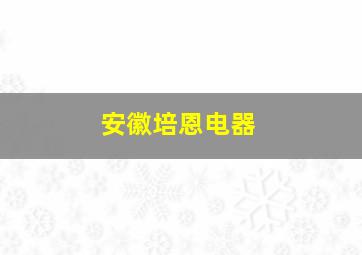 安徽培恩电器