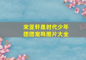 宋亚轩是时代少年团团宠吗图片大全