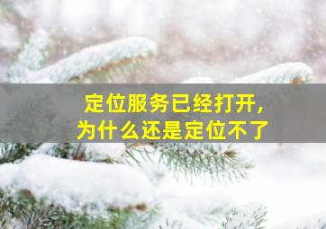 定位服务已经打开,为什么还是定位不了