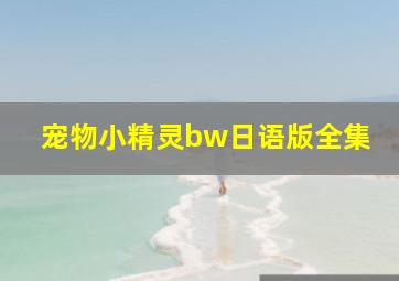 宠物小精灵bw日语版全集