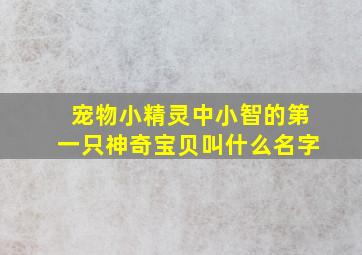 宠物小精灵中小智的第一只神奇宝贝叫什么名字