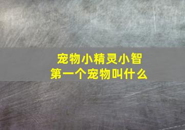 宠物小精灵小智第一个宠物叫什么