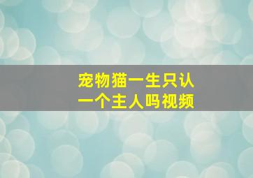 宠物猫一生只认一个主人吗视频