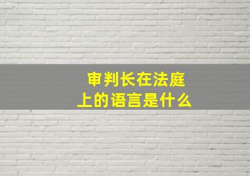 审判长在法庭上的语言是什么