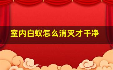 室内白蚁怎么消灭才干净