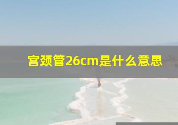 宫颈管26cm是什么意思