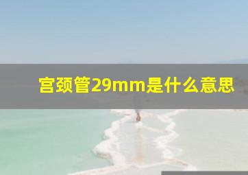 宫颈管29mm是什么意思