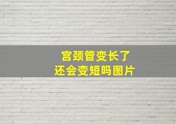 宫颈管变长了还会变短吗图片