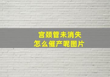 宫颈管未消失怎么催产呢图片